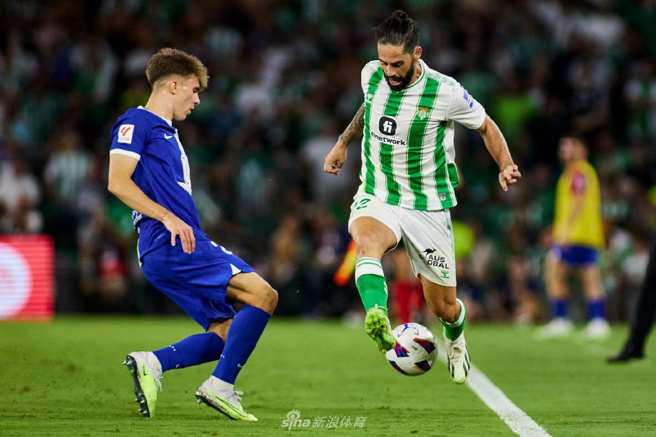 现并提升自 现并提升自